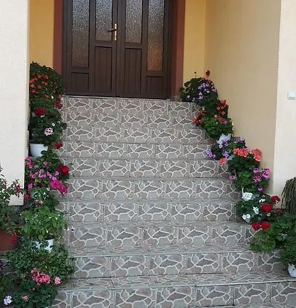 Guest house Beltina Rasinari
