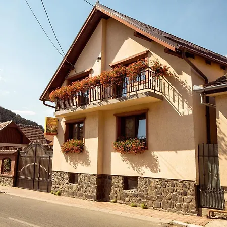 Beltina 3* Rasinari